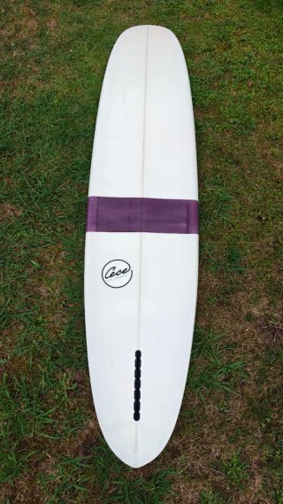 Tabla Longboard Cece 9'6 Pintail