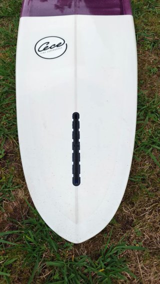 Tabla Longboard Cece 9'6 Pintail