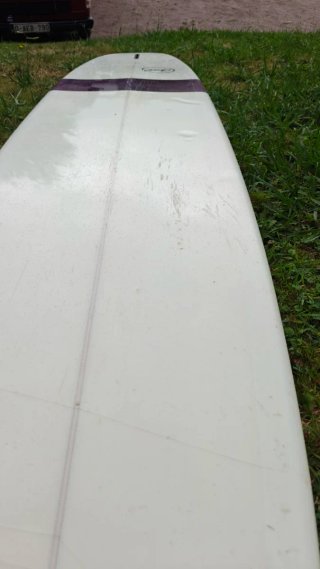 Tabla Longboard Cece 9'6 Pintail