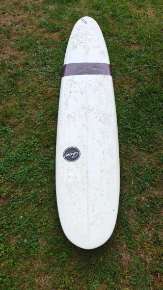 Tabla Longboard Cece 9'6 Pintail