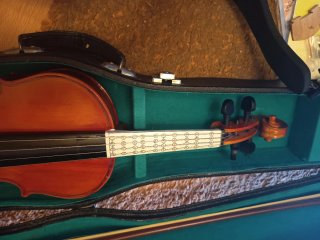 Violín Lark con accesorios