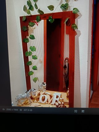 Puerta de armario con espejo decorado