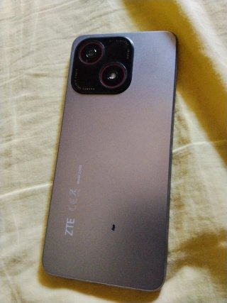 Teléfono ZTE Gris/Plateado