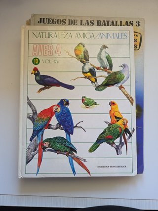 Lote de libros antiguos