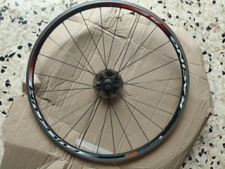 Ruota Posteriore Fulcrum Racing 5