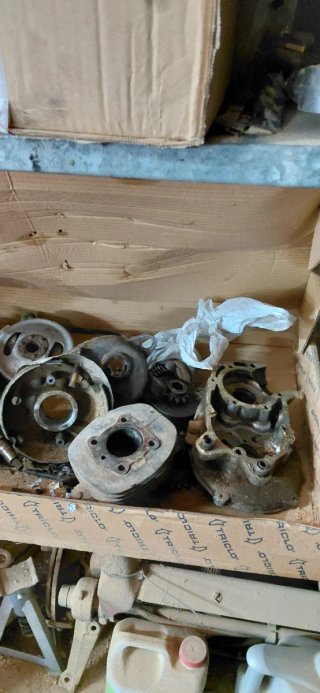 Motor