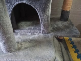 Árbol para gatos de felpa y sisal