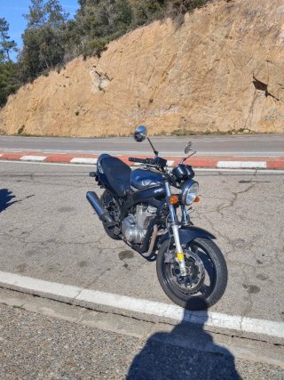 Susuki gs 500