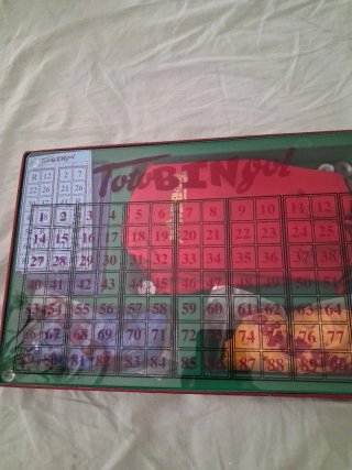 Gioco Totobingol