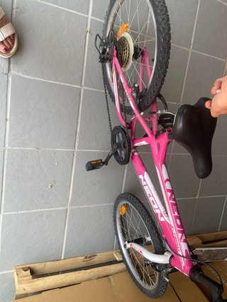 Bicicleta Niña Neon Rin 20