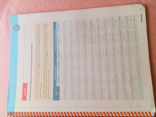 Punt volat 1. Quadern d'activitats