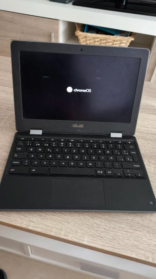 Portátil ASUS C214M Negro/Gris
