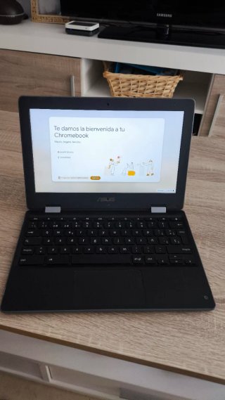 Portátil ASUS C214M Negro/Gris