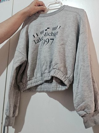 Sudadera Gris Lake Michigan 1997