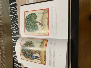 Libro comentario de “Theatrum Sanitatis”