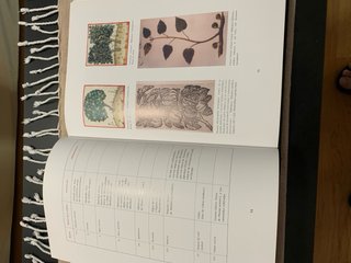 Libro comentario de “Theatrum Sanitatis”