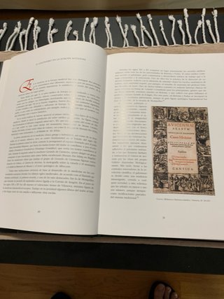 Libro comentario de “Theatrum Sanitatis”