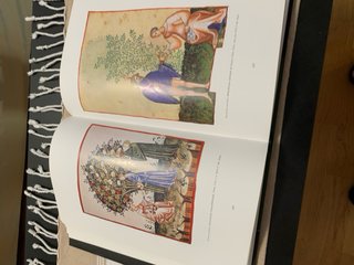 Libro comentario de “Theatrum Sanitatis”