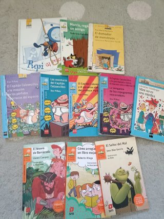 Lote de libros Barco de Vapor
