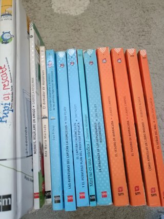 Lote de libros Barco de Vapor