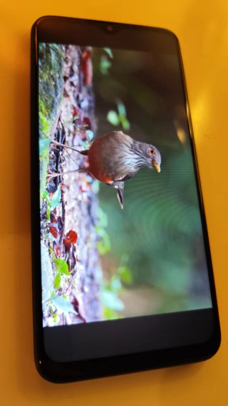 Xiaomi Redmi 9 Gris Carbón 64 GB
