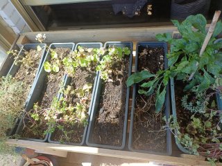 Jardineras con plato
