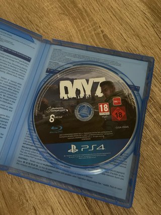 DayZ PS4