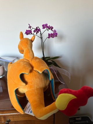 Peluche Charizard Japan