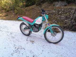Montesa Cota 310 Evasion Trial