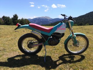 Montesa Cota 310 Evasion Trial