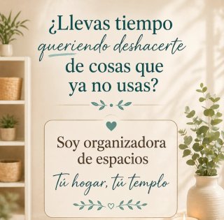Organizadora de espacios