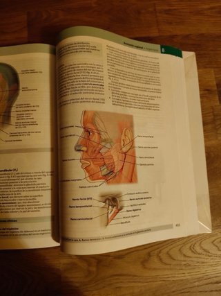 Libro Anatomía Básica Gray