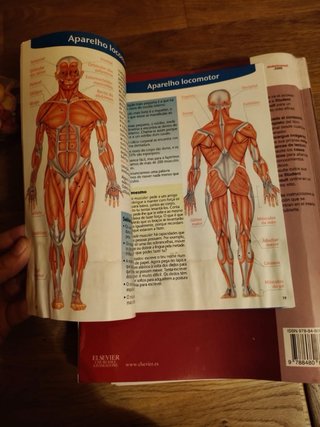 Libro Anatomía Básica Gray
