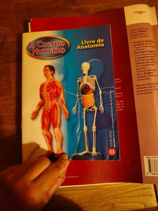 Libro Anatomía Básica Gray