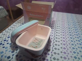 Nevera Polarbox Retro-Cooler 12L