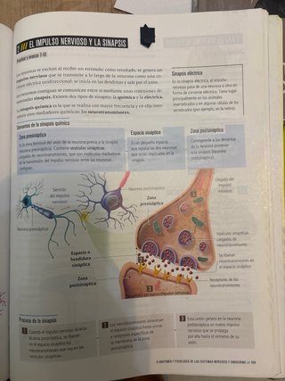 Proyecto: FanFest - Biología y Geología 3 ESO