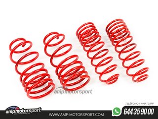 MUELLES DEPORTIVOS MTS TECHNIK MTSXVW333