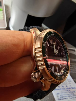 Citizen Fugu Edizione Limitata Placcato Oro