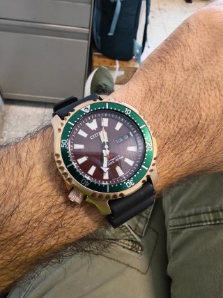 Citizen Fugu Edizione Limitata Placcato Oro