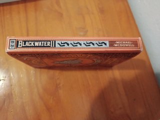 BLACKWATER II. El dique