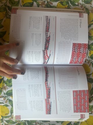 Manual de puntos de ganchillo tunecino