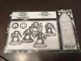 Blood Angels terminators en matriz Warhammer