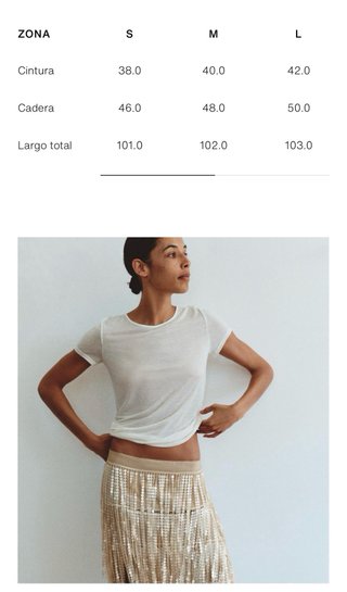 Falda Zara flecos lentejuelas T/S