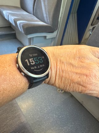 Garmin fenix 6s Negro