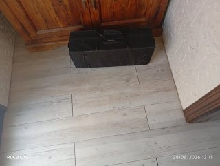 Trompeta plateada con estuche