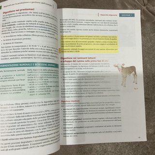 Libro Produzioni animali 1