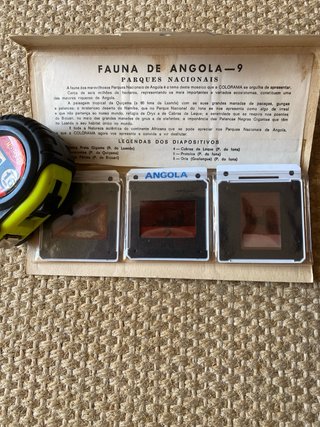 Slides Fauna de Angola Parques Nacionais