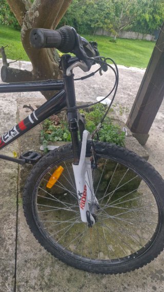Bicicleta Rockrider RR 5.0 Infantil