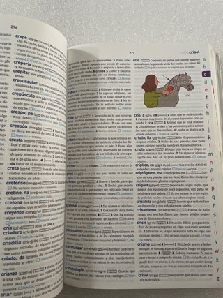 Diccionario básico de la lengua Española primaria