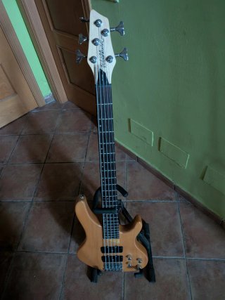 Bajo 5 cuerdas
